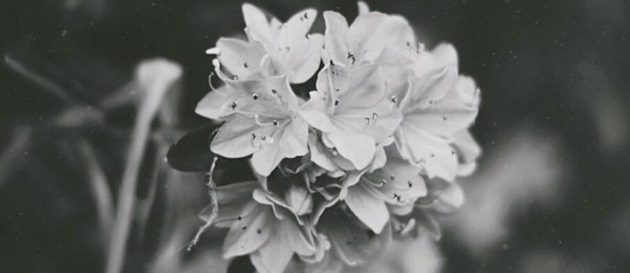 38b510152f0ebce72197fe189823ce7c